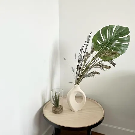 Apartman Private 2 Minutes From Zenith De *